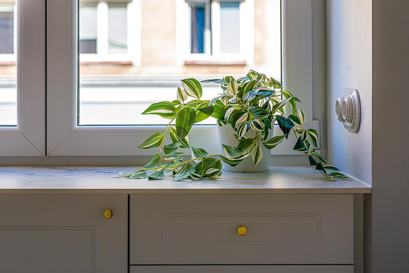 Apartament Koszykowa 3 Warsaw Ngoại thất bức ảnh